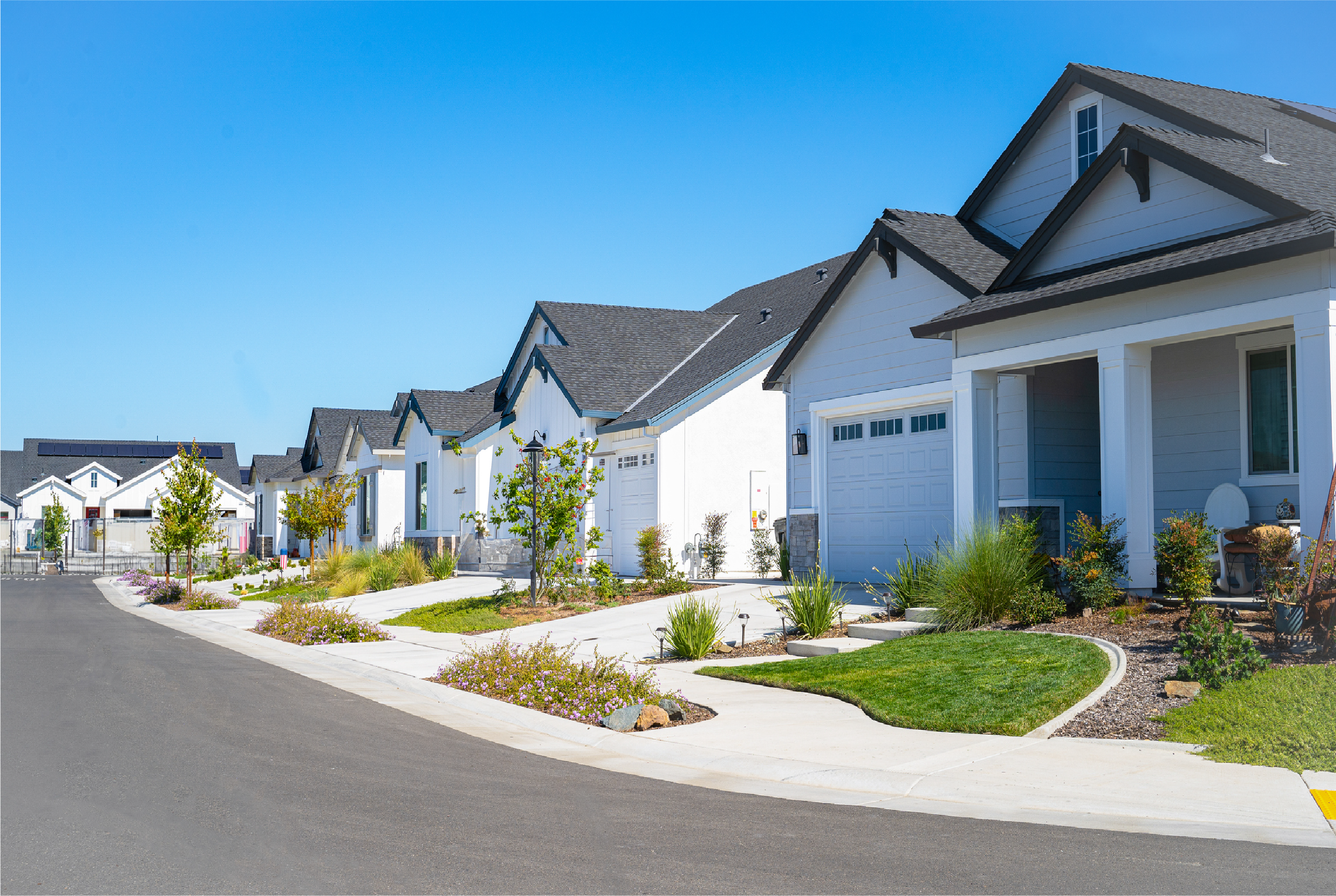 A neighborhood on a sunny summer day.